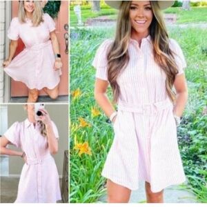 Alexis Blush Striped Belted Mini Dress